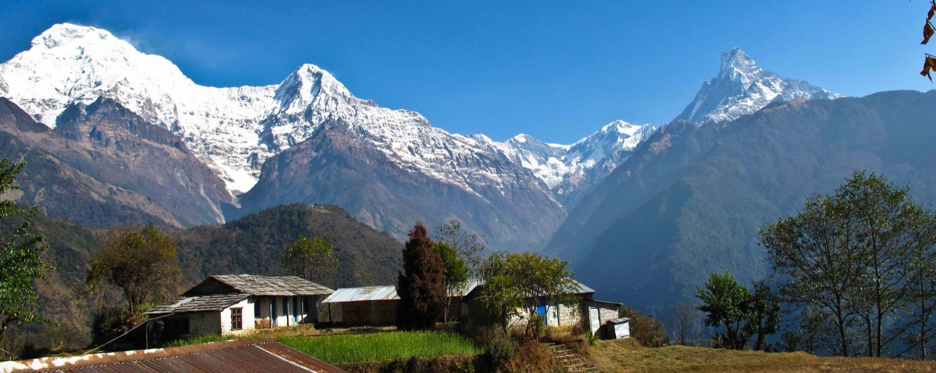 Annapurna Panorama Trekking