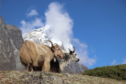 Everest Base Camp Trek