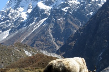 Helambu Trekking