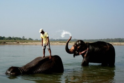Kathmandu Nagarkot Chitwan Tour ( 6 Nights 7 Days )