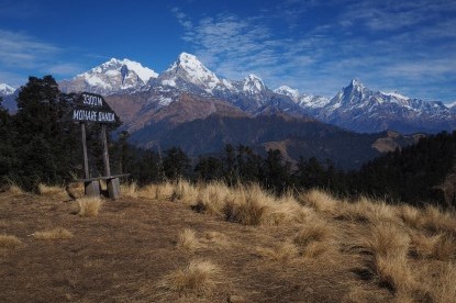 Mohare Danda Trekking (Homestay)