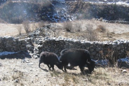 Tamang Heritage Trail