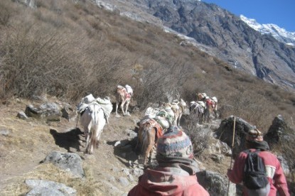 Tamang Heritage Trail