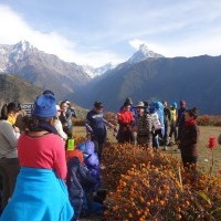 obs group, thirdpole treks, Annapurna purna panoroma, annapurna trekking, ghorepani trekking, poon hill trekking, expedition nepal, ghorepani ghandruk trekking