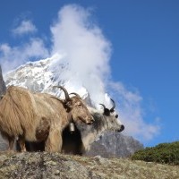 Everest Base Camp Trek