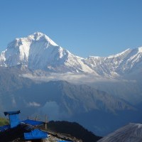 Khopra community lodge Trekking (14 Days)