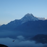 Khopra Danda (Ridge) Trekking (15 Days)