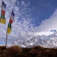 Mardi Himal Trekking