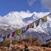 Mardi Himal Trekking