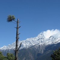 Tamang Heritage Trail