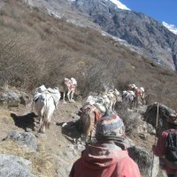 Tamang Heritage Trail